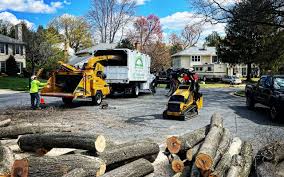 Trusted Woodbury Center, CT Tree Care Experts