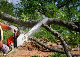 Leaf Removal in Woodbury Center, CT